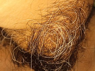 my wife's hairy pussy and clitoris